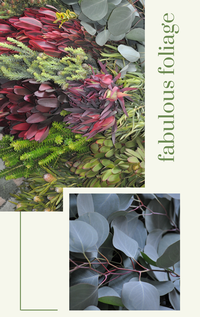 Gift Box - Fabulous Foliage