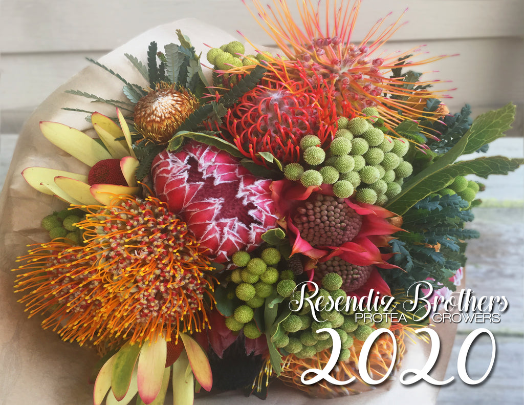 Resendiz Brothers 2020 Calendar