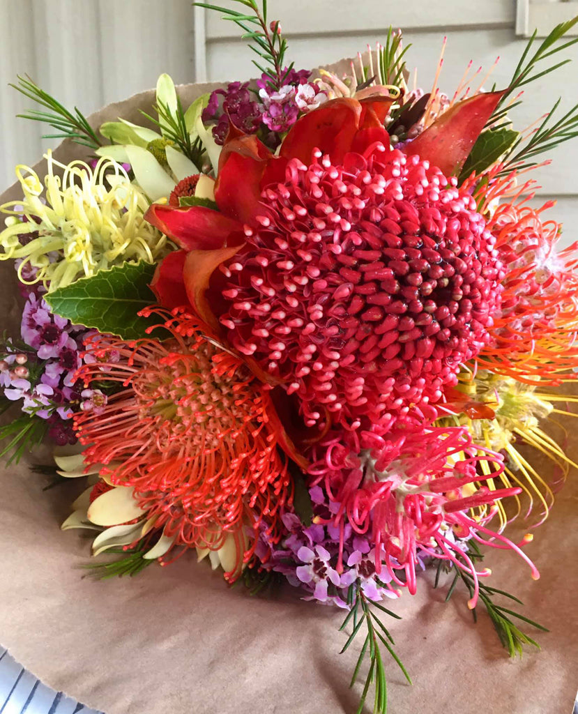 Spring Waratah Bouquet