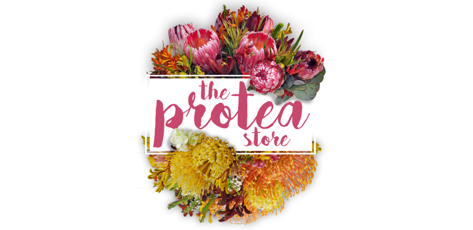 The Protea Store