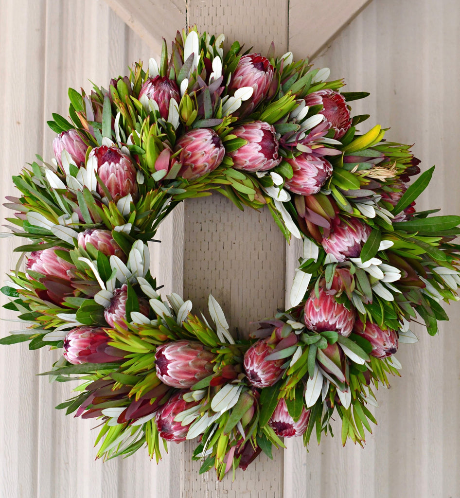 Protea Pink Ice Wreath