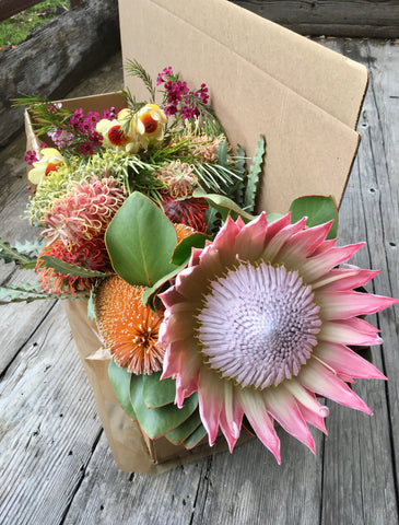 Gift Box - Mixed Protea and Australian Wildflowers