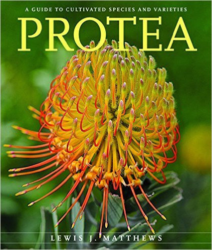 Protea: A Guide to Cultivated Species and Variaties | Lewis J. Matthews